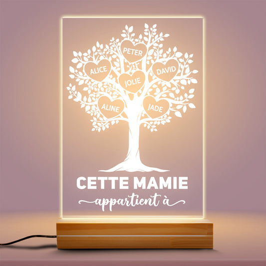 0788LFR2 Cadeau Personnalise Lampe LED 3D Mamie Maman